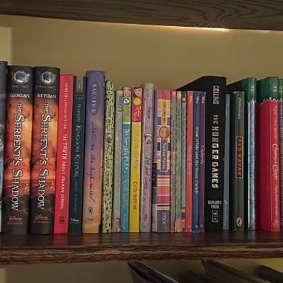 Diary of a Wimpy Kid and more book lot