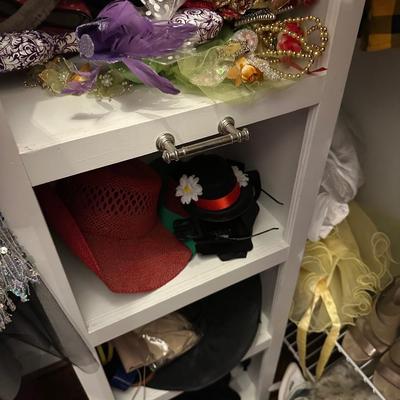COSTUMES, & MORE, ENTIRE CLOSET CONTENTS