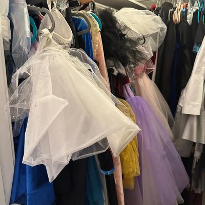 COSTUMES, & MORE, ENTIRE CLOSET CONTENTS