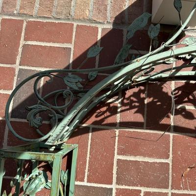 ach top arbor