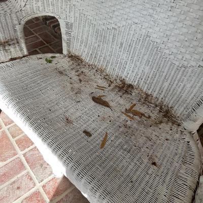 pair wicker settee