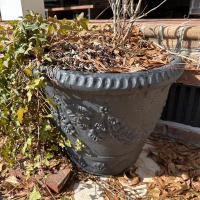 black planters with plants