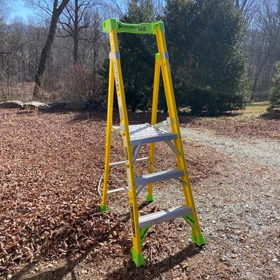 Louisville Nine Foot Ladder (SB-BM)