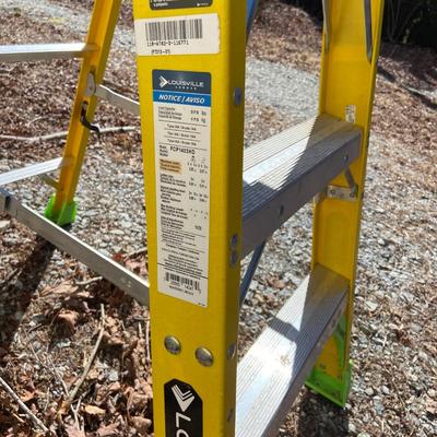 Louisville Nine Foot Ladder (SB-BM)