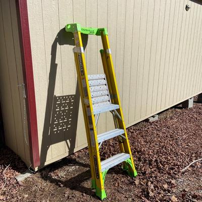 Louisville Nine Foot Ladder (SB-BM)