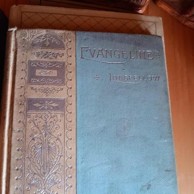 VARIETY OF BOOKS, BOOK ENDS AND A CAST IRON DOOR STOP
