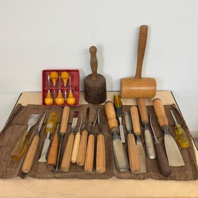 1172 Wood Working Chisel Carving Set