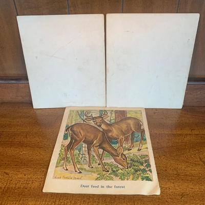 LOT 11 O: Antique / Vintage / & Modern Children's Books Collection: 1923 "Boys And Girls Of Bookland" by Nora...