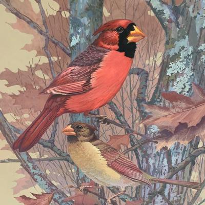 Cardinal Art Leblanc Framed/ Matted
