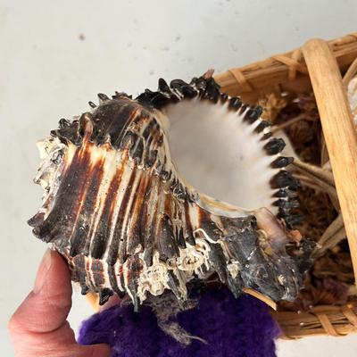 Lot 230 Beachhouse birdhouse and basket of seashells