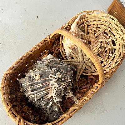 Lot 230 Beachhouse birdhouse and basket of seashells
