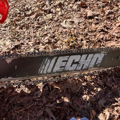 Echo Chainsaw & Extra Chain (SF-MG)