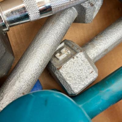 Lot 257 assorted dumbells - 2 - 10 lb