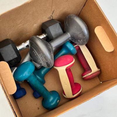 Lot 257 assorted dumbells - 2 - 10 lb