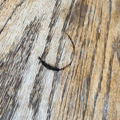 Lot 263 Claw foot Round Oak Coffee Table