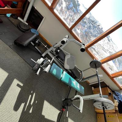 Lot 267 2 weight benches with weights and accessories