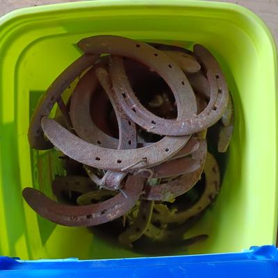BUCKET FULL OF HORSESHOES