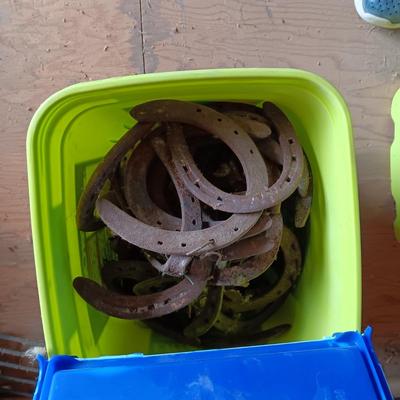 BUCKET FULL OF HORSESHOES