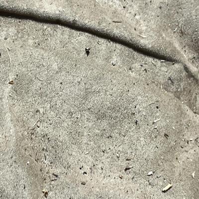 Lot 322 arm chair and ottoman tan