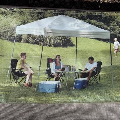 Quest 10x10 Instant Up Canopy (SB-DZ)