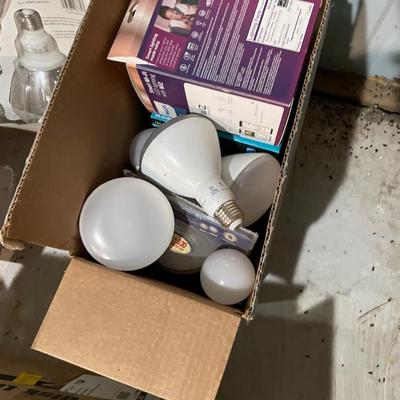 Lot 355 Light bulbs - edison bulbs, flood lights, and ceiling mount flush light fixtures