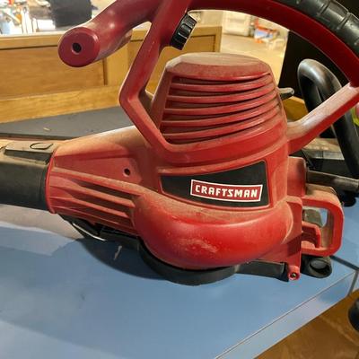 Greenworks leaf headge trimmer, craftsman leaf blower with batteries (not tested)