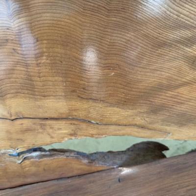 Live-Edge Redwood Burl Bench