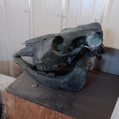 STEER? SKULL
