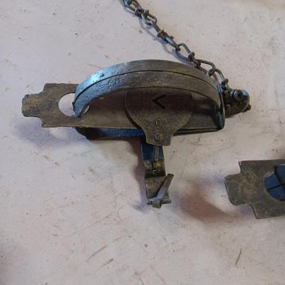 2 ONEIDA JUMP ANIMAL TRAPS