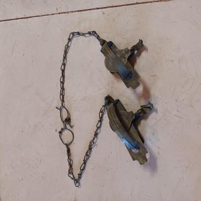 2 ONEIDA JUMP ANIMAL TRAPS