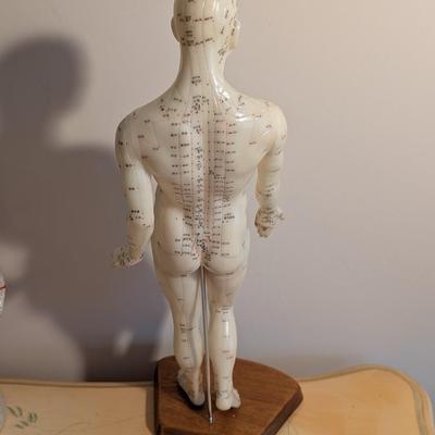 Vintage Chinese Acupuncture Model & Human Head Form