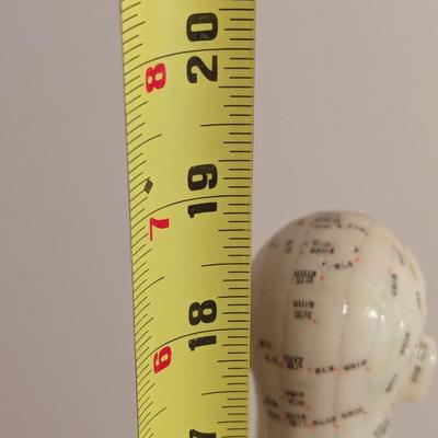 Vintage Chinese Acupuncture Model & Human Head Form