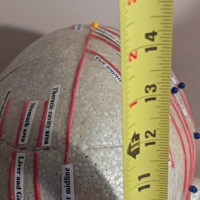 Vintage Chinese Acupuncture Model & Human Head Form