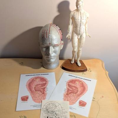 Vintage Chinese Acupuncture Model & Human Head Form