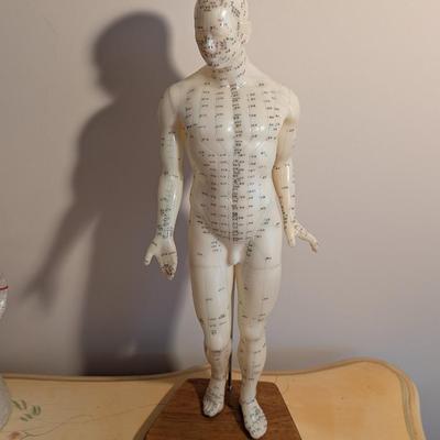 Vintage Chinese Acupuncture Model & Human Head Form