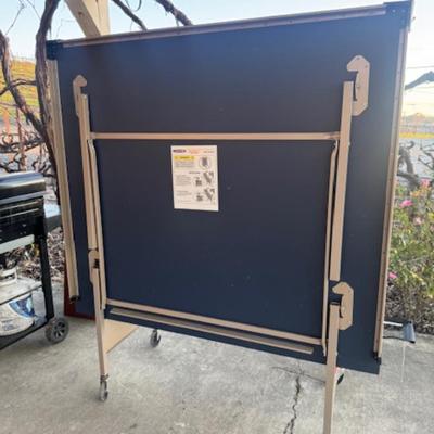 Ping Pong Table