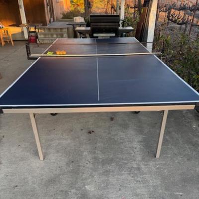 Ping Pong Table