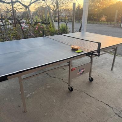 Ping Pong Table