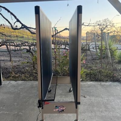 Ping Pong Table