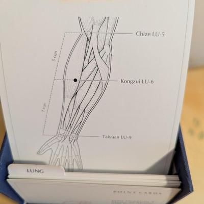 Manual of Acupuncture Point Flashcards By Peter Deadman