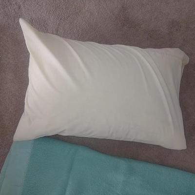GREEN WOOL BLANKET, 3 HOSPITAL TYPE BLANKETS AND A FEATHER PILLOW
