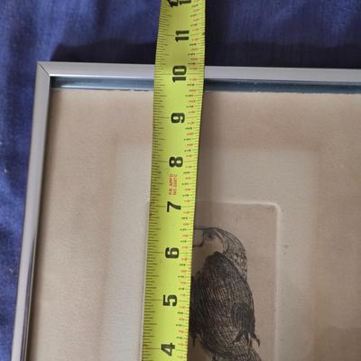 LOT 3X: Framed Wall Art - "Toucan" By Kim Smith, D. Bucher Original, Signed and Numbered Bartlett Artwork, and "First Day...