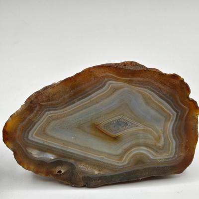 LOT 11X: Mushroom Coral, Raw Amethyst, Smoky Quartz, Amazonite, Agate Geodes, Quartz Crystals, Pyrite Gold, and Various Other Rocks