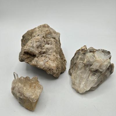 LOT 11X: Mushroom Coral, Raw Amethyst, Smoky Quartz, Amazonite, Agate Geodes, Quartz Crystals, Pyrite Gold, and Various Other Rocks