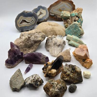 LOT 11X: Mushroom Coral, Raw Amethyst, Smoky Quartz, Amazonite, Agate Geodes, Quartz Crystals, Pyrite Gold, and Various Other Rocks