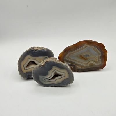 LOT 11X: Mushroom Coral, Raw Amethyst, Smoky Quartz, Amazonite, Agate Geodes, Quartz Crystals, Pyrite Gold, and Various Other Rocks