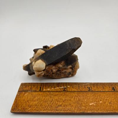 LOT 11X: Mushroom Coral, Raw Amethyst, Smoky Quartz, Amazonite, Agate Geodes, Quartz Crystals, Pyrite Gold, and Various Other Rocks