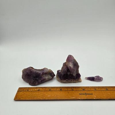 LOT 11X: Mushroom Coral, Raw Amethyst, Smoky Quartz, Amazonite, Agate Geodes, Quartz Crystals, Pyrite Gold, and Various Other Rocks