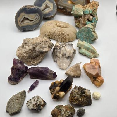 LOT 11X: Mushroom Coral, Raw Amethyst, Smoky Quartz, Amazonite, Agate Geodes, Quartz Crystals, Pyrite Gold, and Various Other Rocks