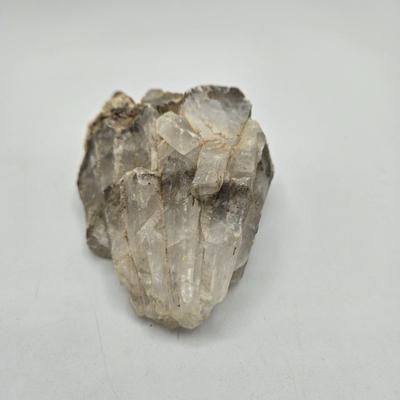 LOT 11X: Mushroom Coral, Raw Amethyst, Smoky Quartz, Amazonite, Agate Geodes, Quartz Crystals, Pyrite Gold, and Various Other Rocks